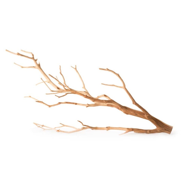 Galapagos Staghorn Wood Manzanita Branch
