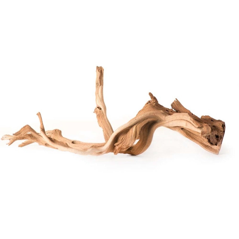 Galapagos Staghorn Wood Manzanita Root