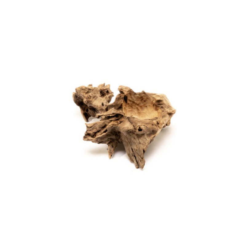 Amazon Basin Wood - Small
