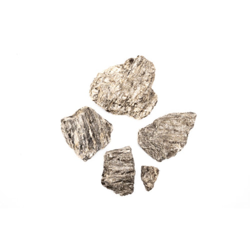 Ancient Petrified Stone
