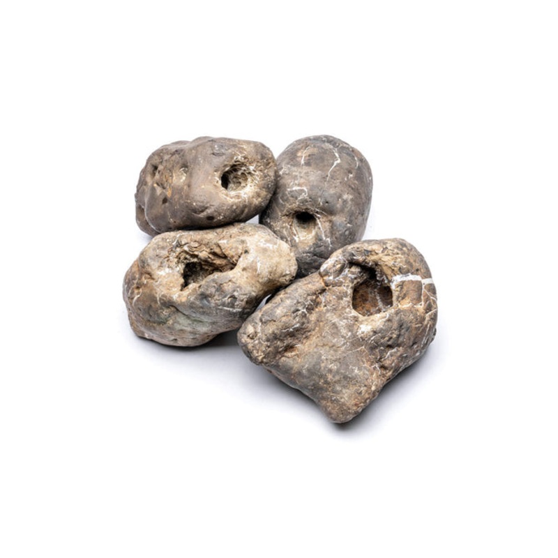 Ash Stone