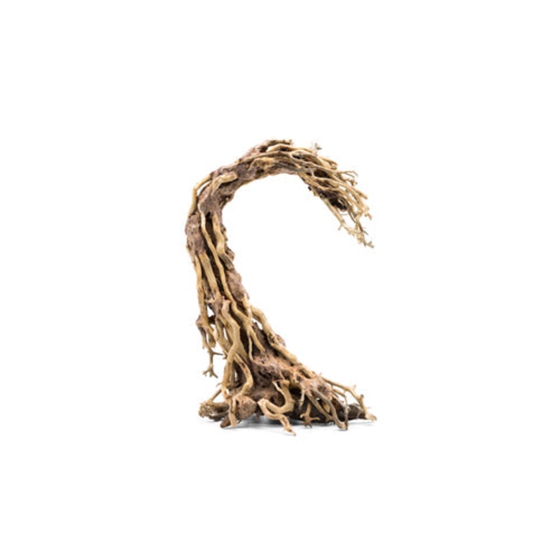 Crescent Shaped Bonsai Aquarium Driftwood