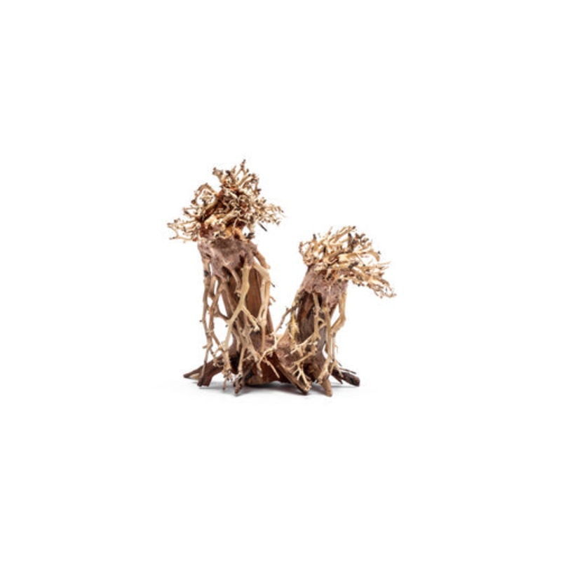 Double Bonsai Aquarium Driftwood - Medium-73M M100