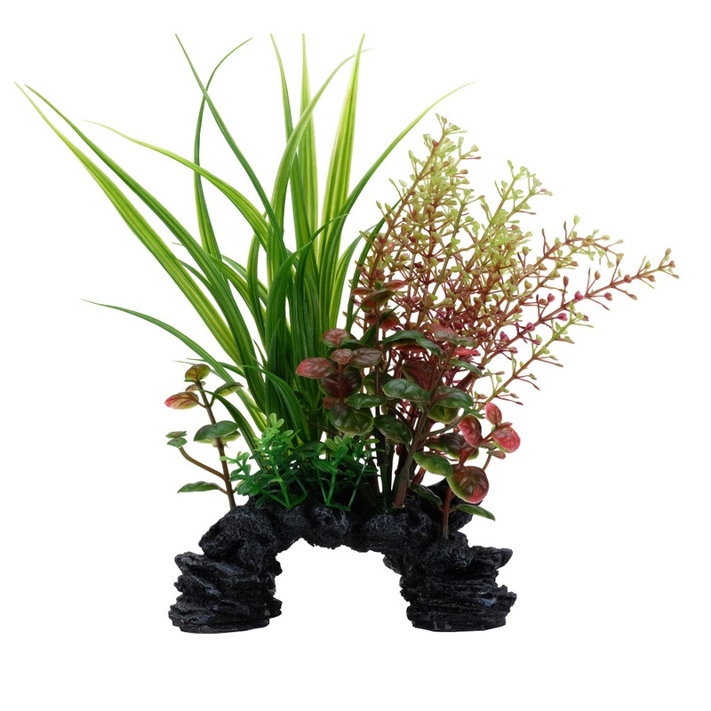 Fluval Sagittarius Rotala Mix 6-8in