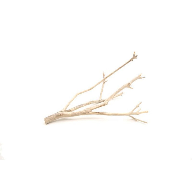Manzanita Driftwood Small (8-10")