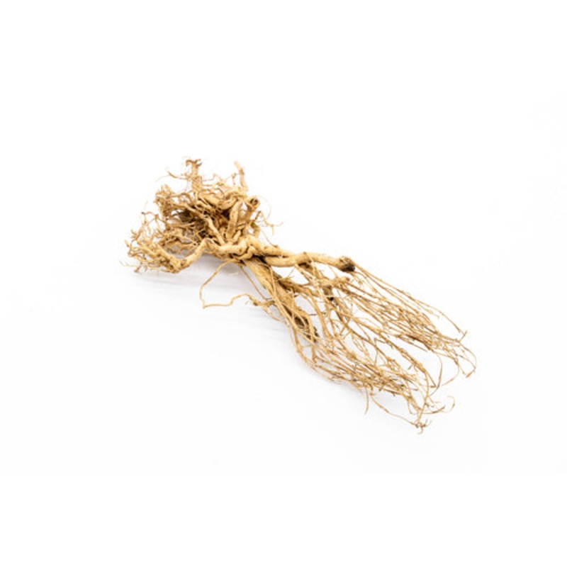 Tangled Tree Root Driftwood