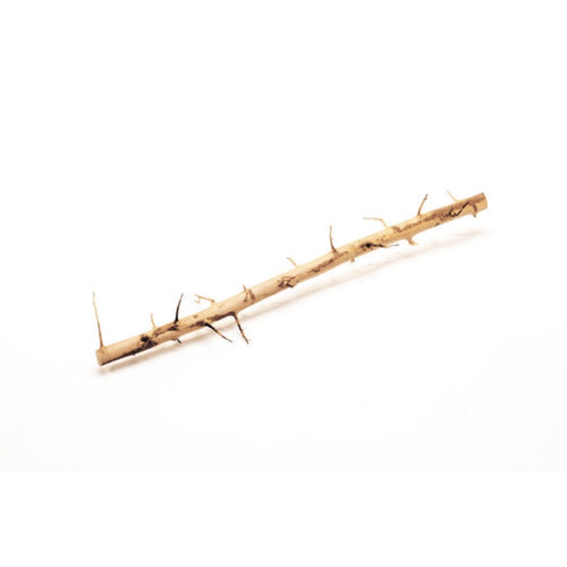 Thorn Wood