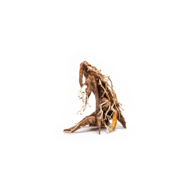 Weeping Bonsai Aquarium Driftwood