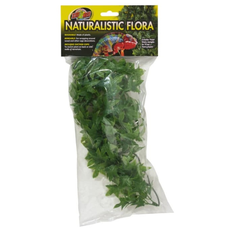 ZooMed Natural Bush Plants Congo Ivy