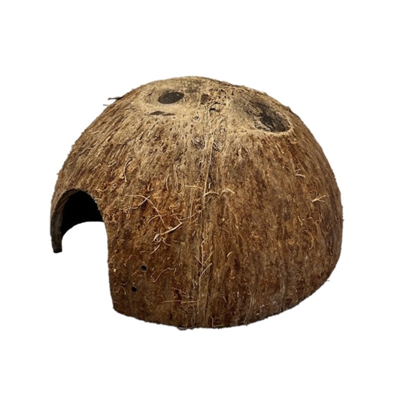 Galapagos Coco Cave