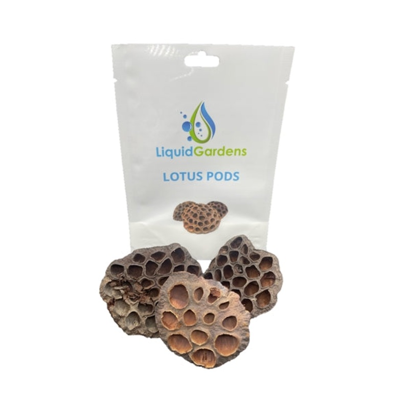 Liquid Gardens Lotus Pod
