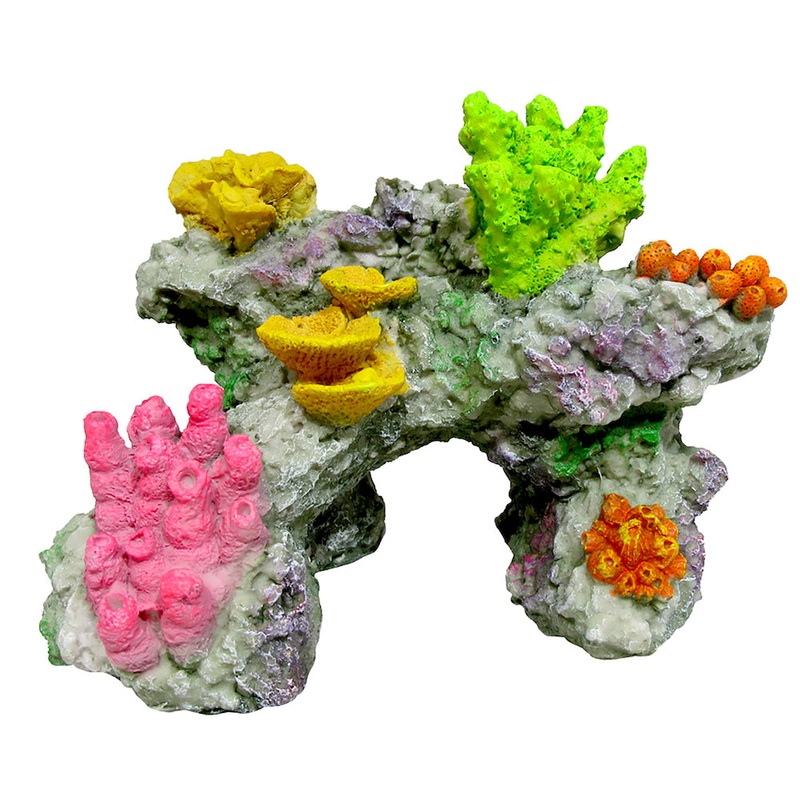 Marina Coral Reef Rock