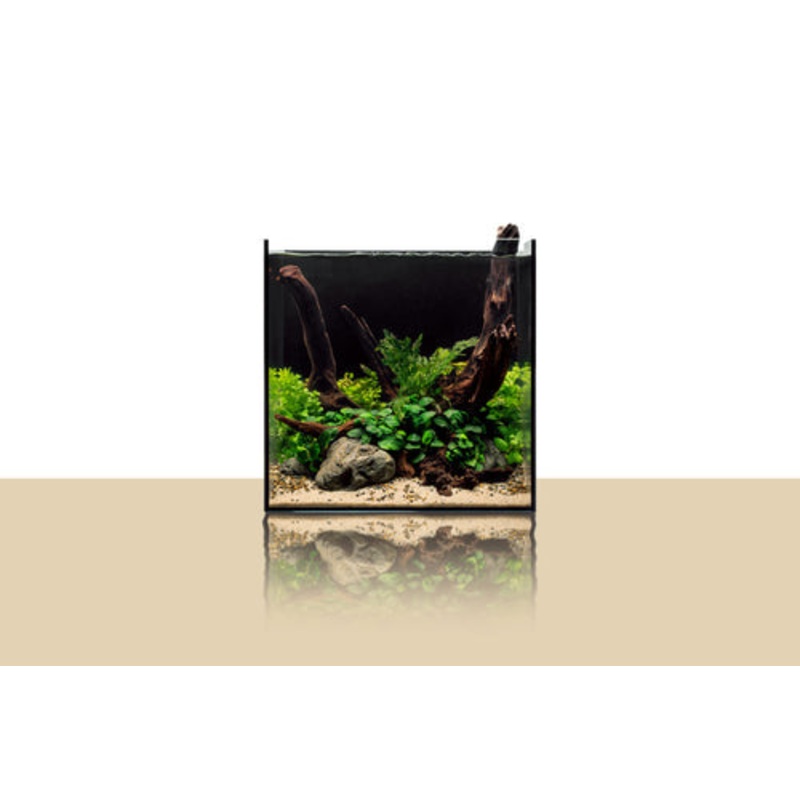 UNS 35A Aquarium