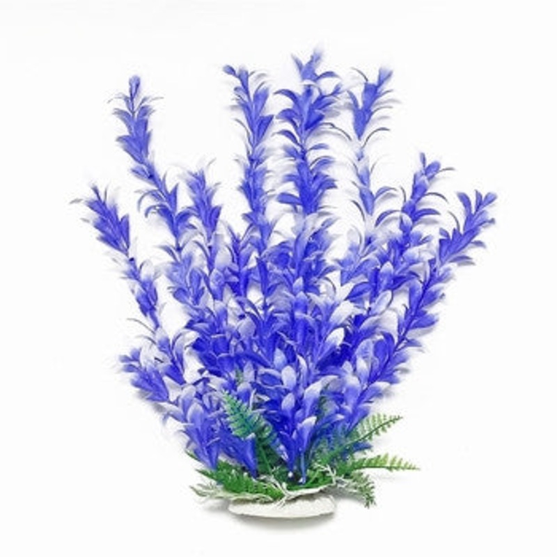 Aquatop Bacopa Plant Blue/White