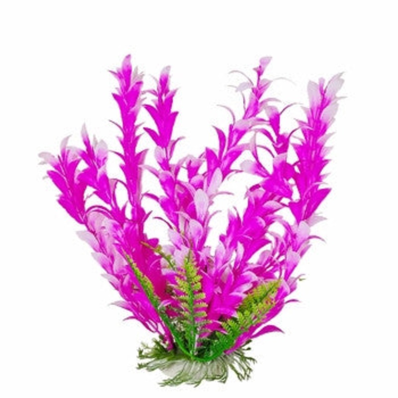 Aquatop Bacopa Plant Pink/White