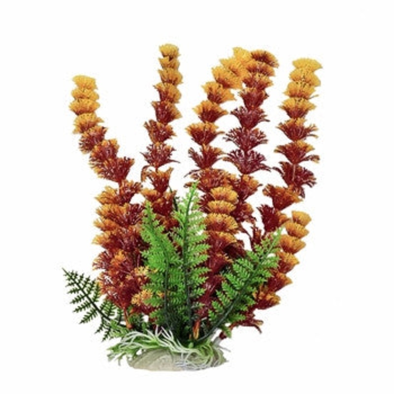 Aquatop Cabomba Plant 12"