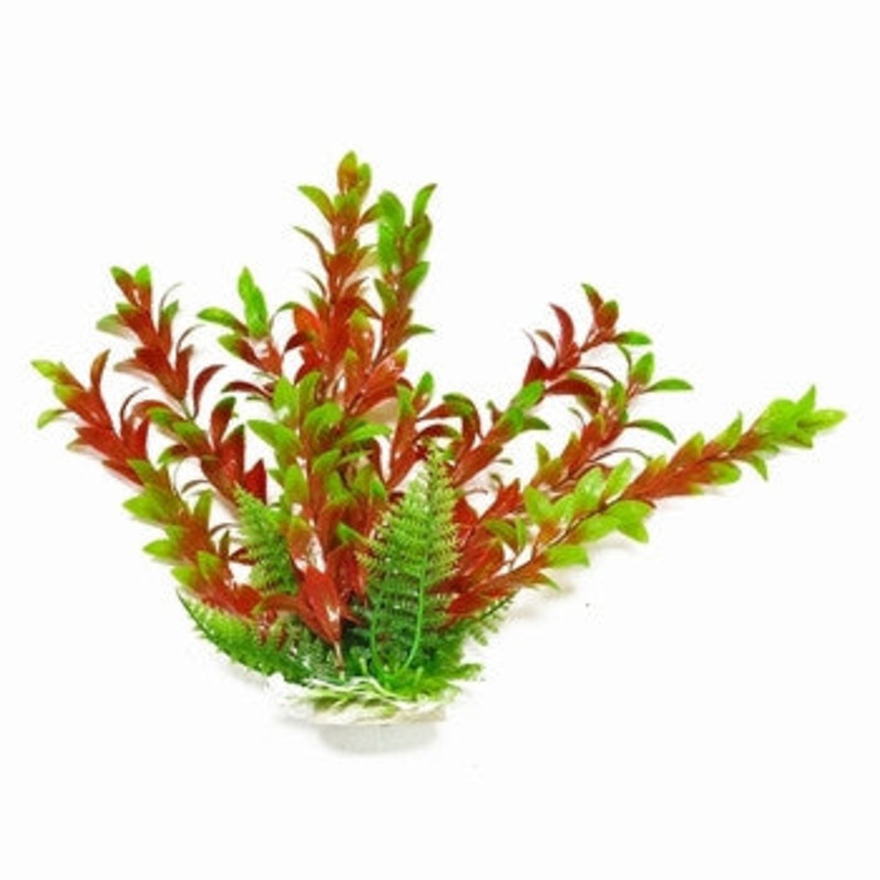 Aquatop Hygro Plant Green/Red 20"