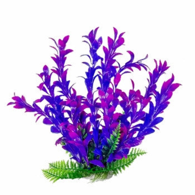 Aquatop Hygro Plant Pink/Purple