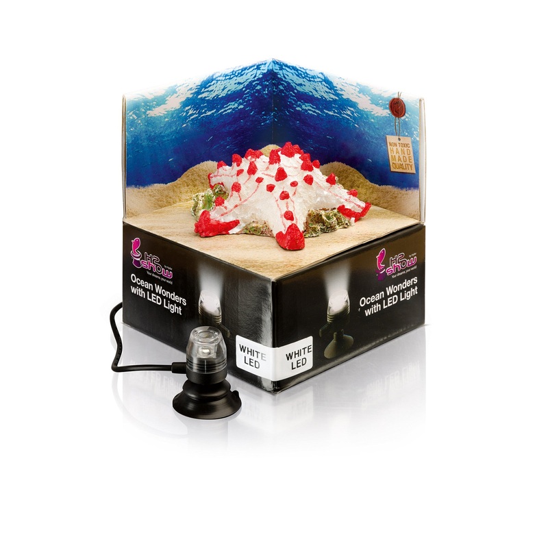 H2Show Ocean Wonders Starfish & White LED Light