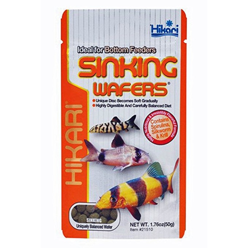 Hikari Bottom Feeder Sinking Wafers