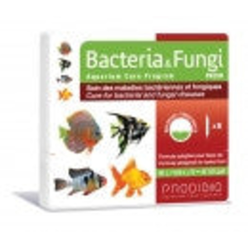 Prodibio Bacteria & Fungi - Freshwater