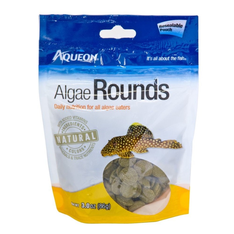 Aqueon Algae Rounds