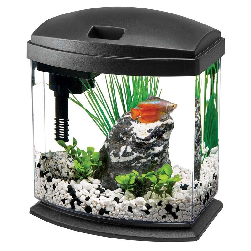 Aqueon MiniBow 1 Aquarium Kit