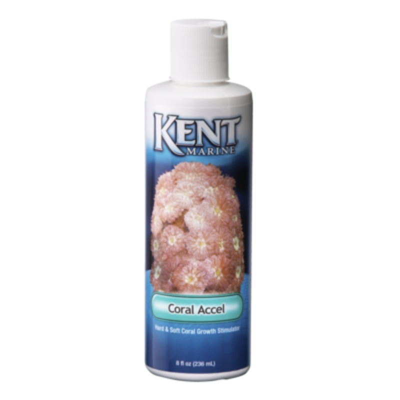 Kent Marine Coral Accel