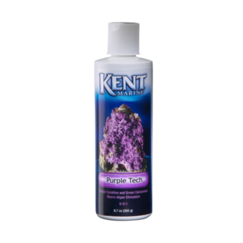 Kent Marine Purple Tech