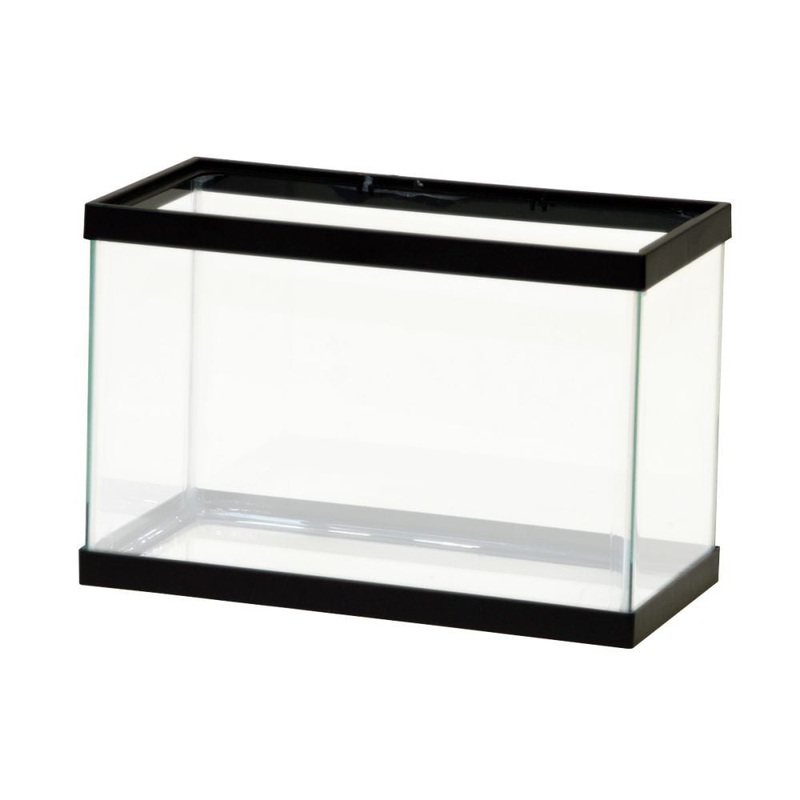 Aqueon Standard Aquarium