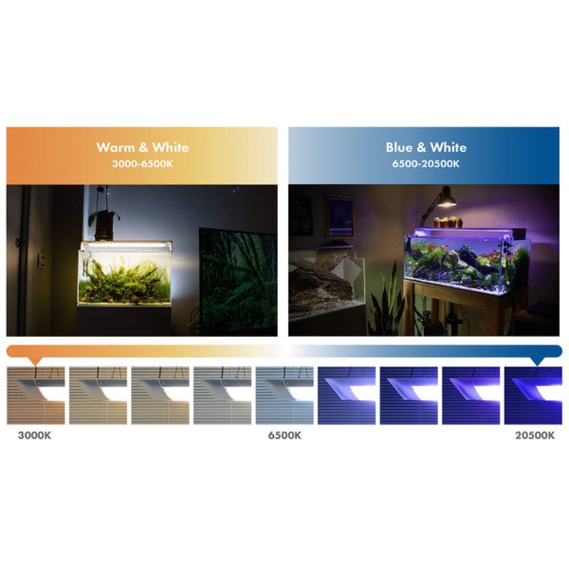 ONF Flat ONE+ LED Light (Blue/White) - With Legs