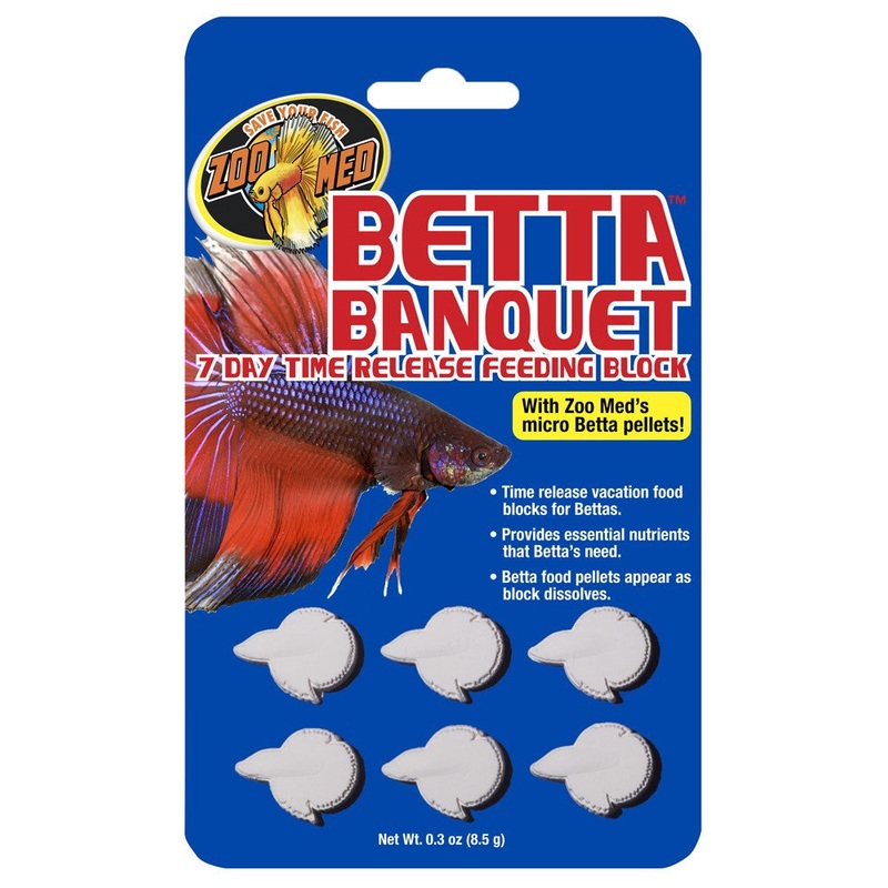 Zoo Med Betta Banquet Block