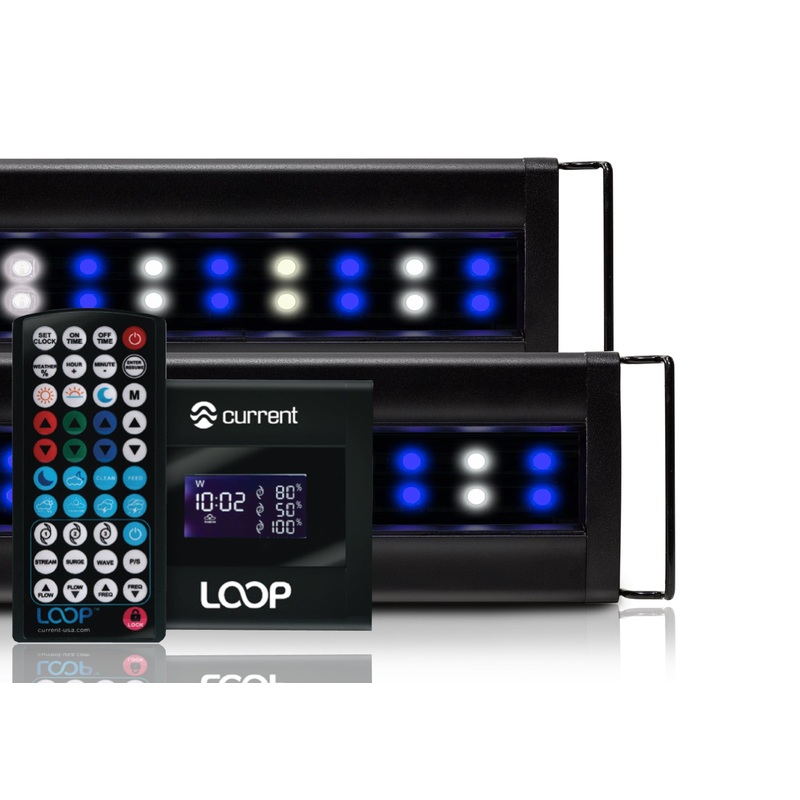 Current USA Orbit Marine IC PRO 2x LED System
