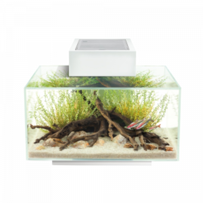 Fluval Edge Aquarium Kit. 6 US Gal. ( 23 L ), White