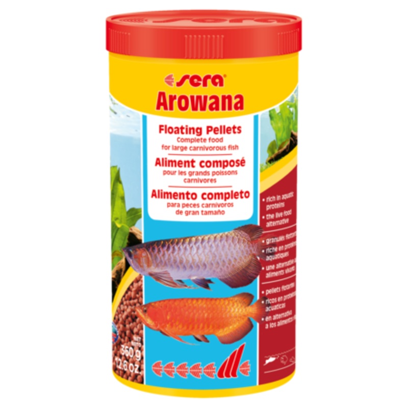 Sera Arowana