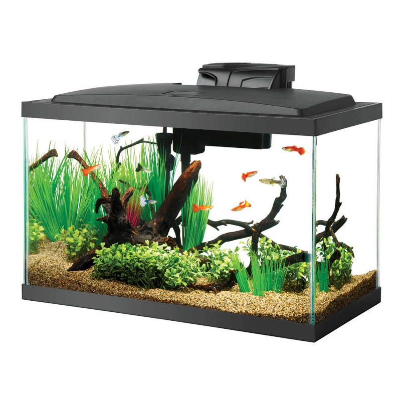 Aqueon Pre-Priced LED Aquarium Kit, 1ea/10