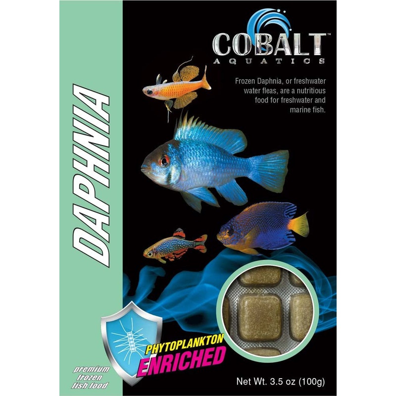 Cobalt Frozen Daphnia Cubes